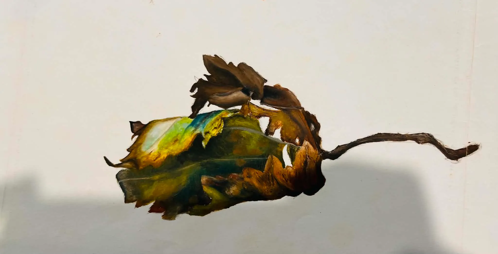 Watercolor study of a wilting leaf