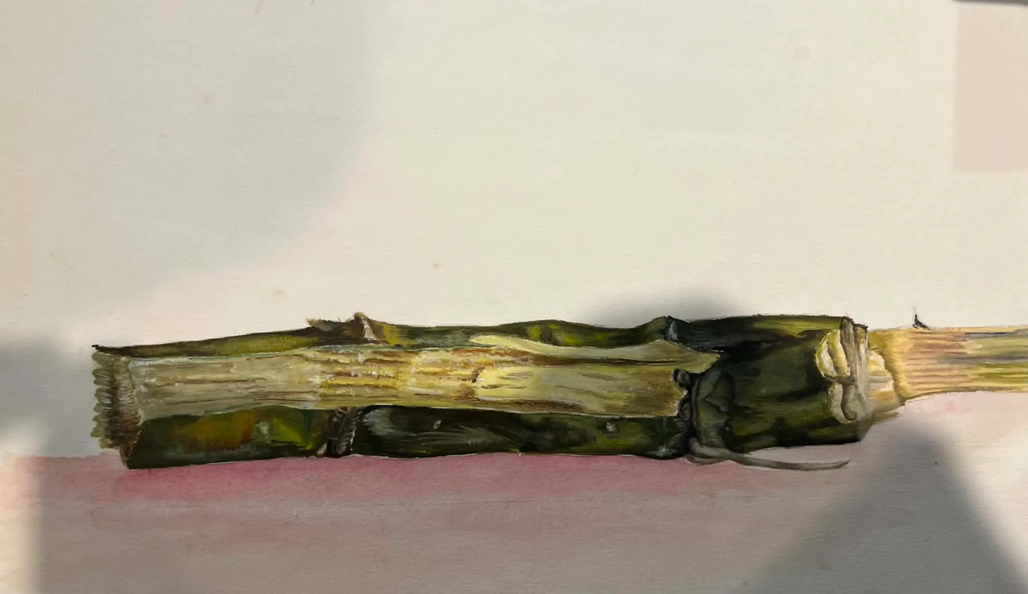 Watercolor study of a stick